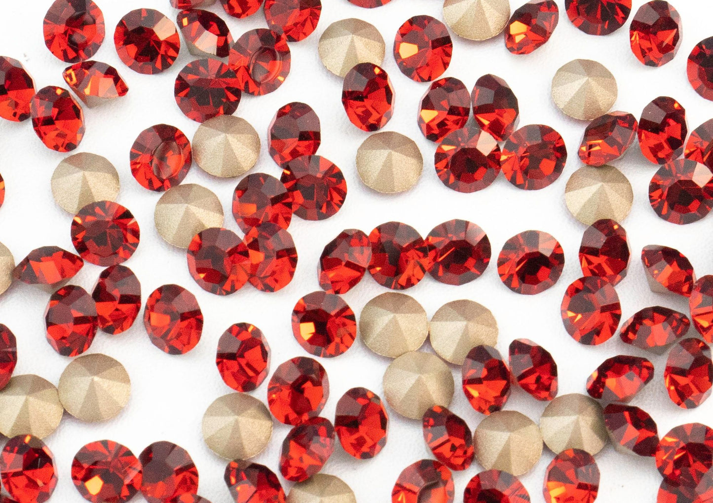 プレシオサ チャトンMAXIMA レッドベルベット pp11