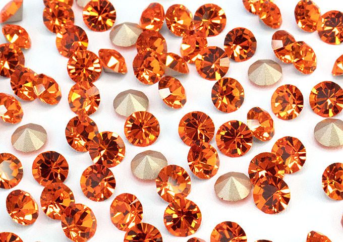 プレシオサ チャトンMAXIMA サン pp11